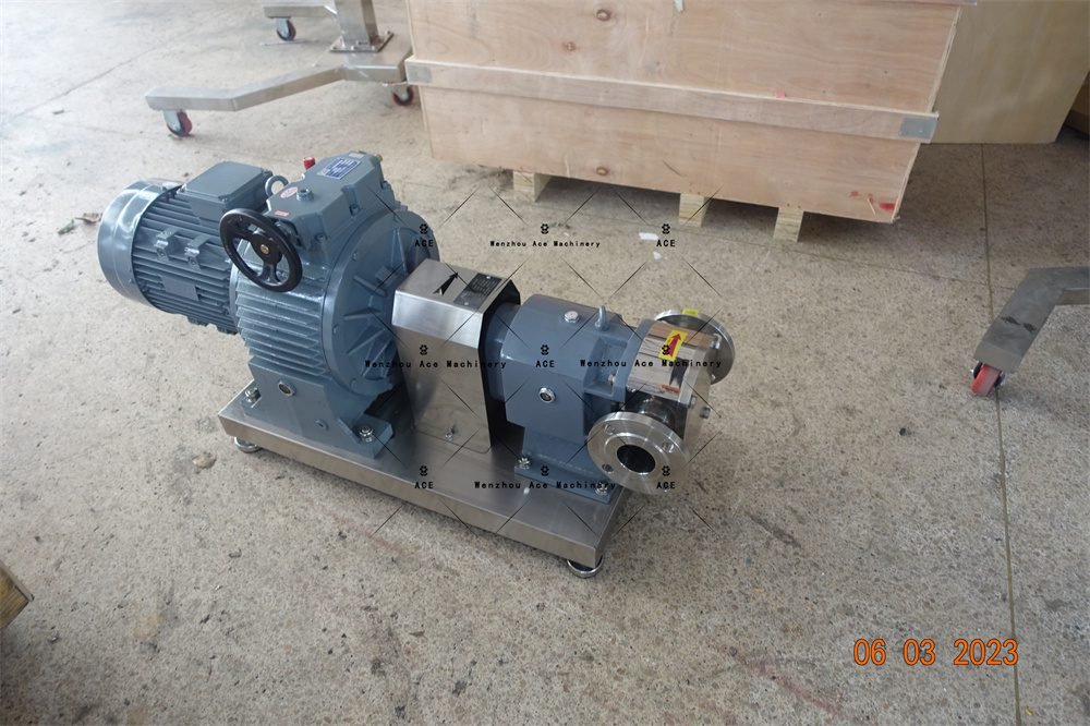 Rotary Pump